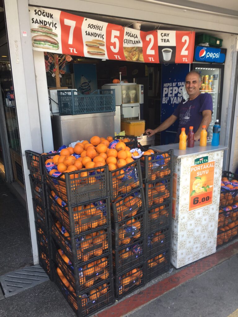 Healthy Orange Juicer. Istanbul