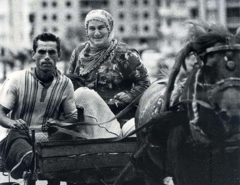 The Turkish Phenomenon in the World