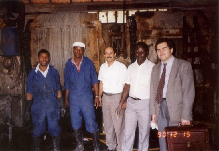 Turkish diaspora in Africa