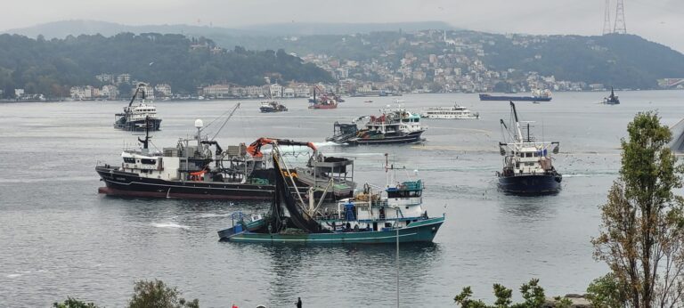 Bluefish Ships at Bosphorus, Istanbul