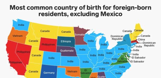 Indian Immigrants in the USA