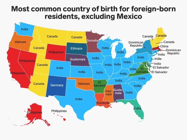 India immigrants in the USA