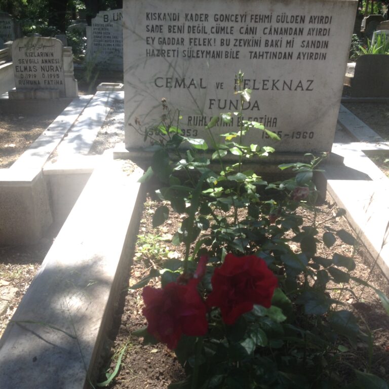 Cultural Heritage of Turks in the Balkans