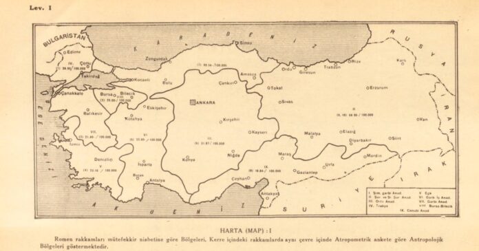 türkiye antropolojik bölgeleri