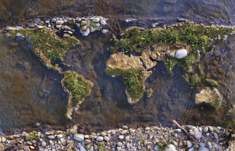 The  Natural World