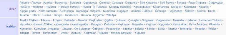 Dünya Türkçe Sözlüğü