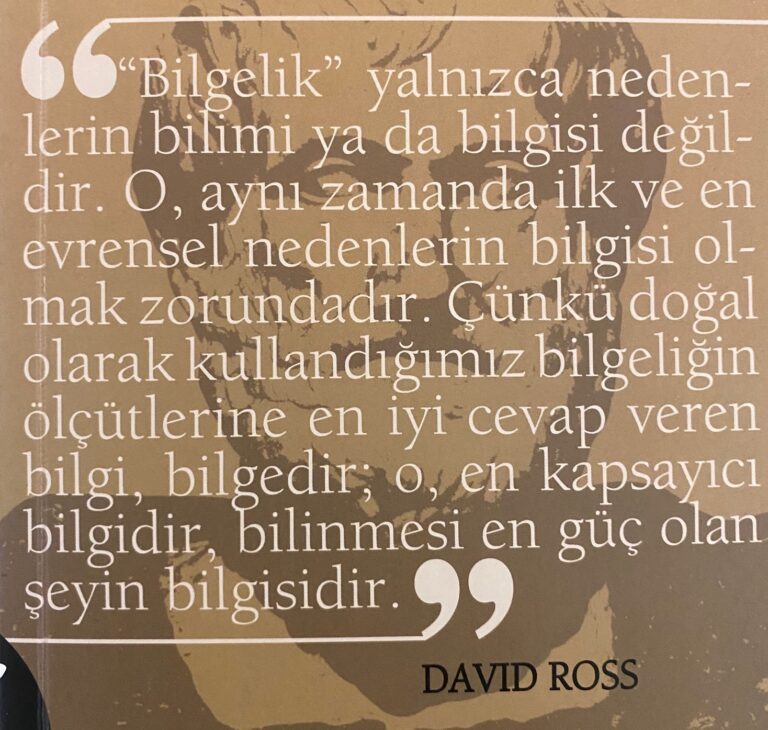 Türkçe Bilge/lik Literatürü