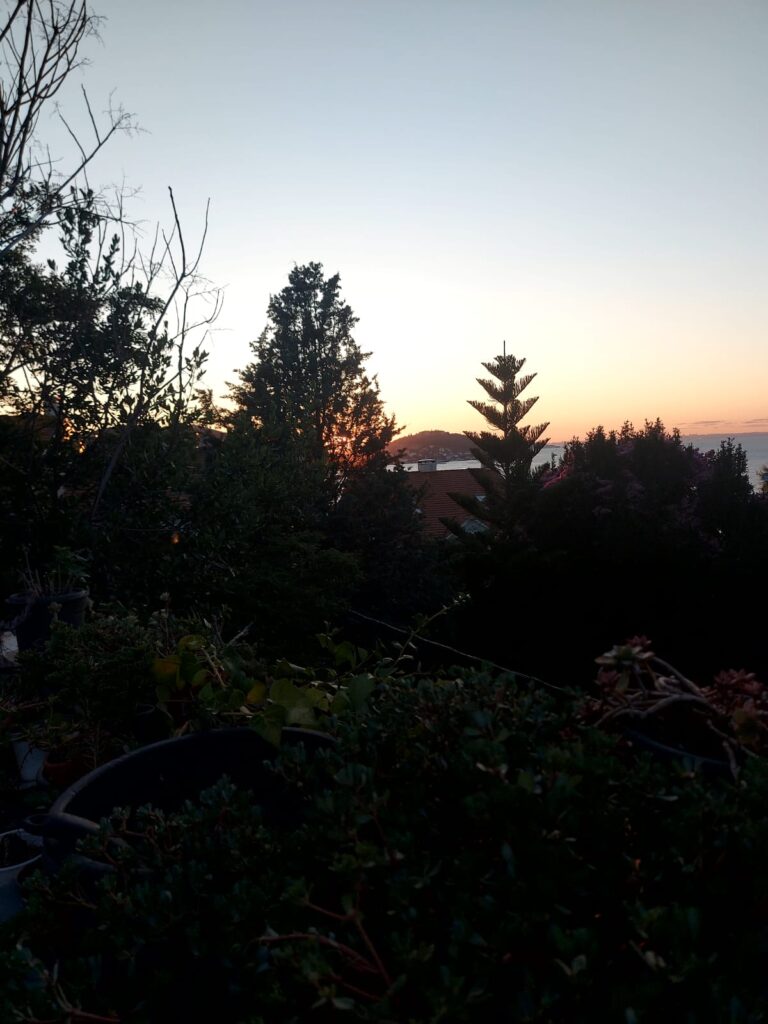 Temmuz 2024 BooksonTurkey Yazıları