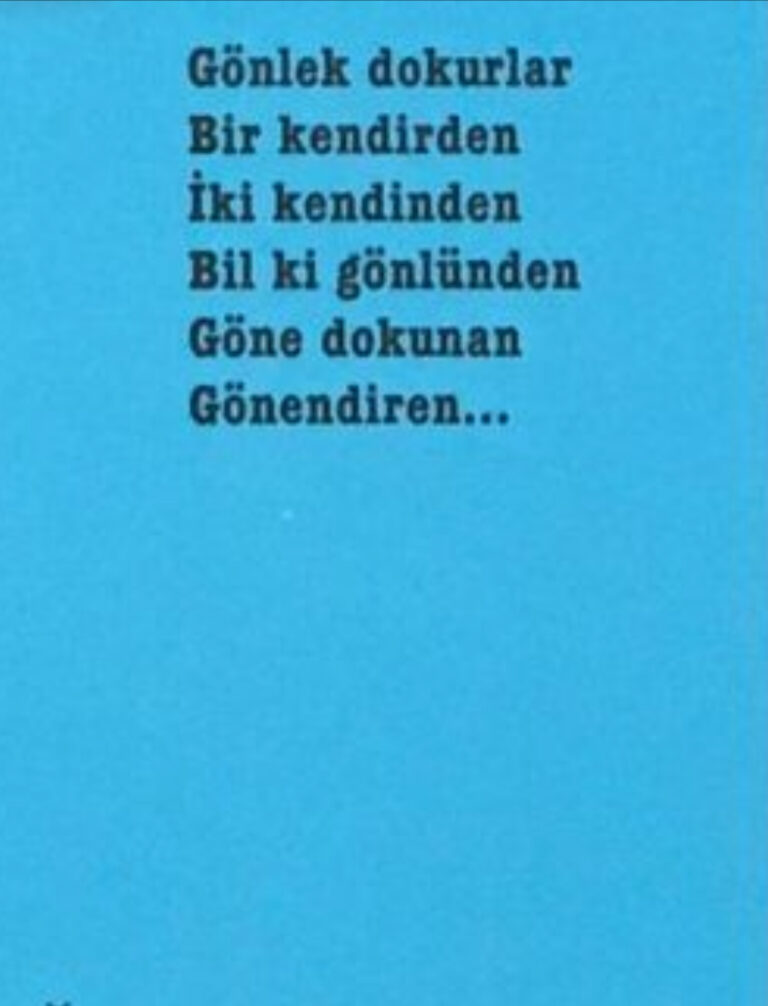 5 Soruda Entelektüel ve Gönül Kavramları